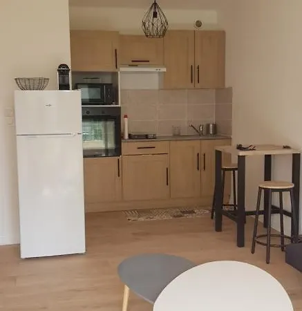 Grand Studio Paisible Et Central Apartament *